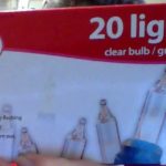 Merry Brite 20 lights clear bulb/green wire